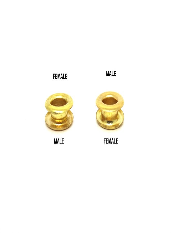 Nimida™ Multipurpose Male Female Eyelet Grommet of Brass for Leather, Fabric & Craft | Colour - Gold | Medium Size | 400 Pairs - Image 4